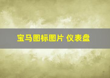 宝马图标图片 仪表盘